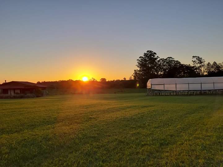 WhatsApp Image 2019-10-07 at 9.58.21 PM.jpeg